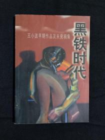 黑铁时代：王小波早期作品及未竟稿集