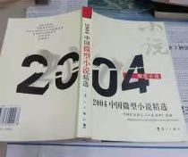 2004中国微型小说精选