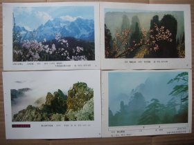 八十年代 32开年画缩样  摄影风光名胜 名山风光年画选【一】 有黄山，庐山，峨眉山，华山，崂山等 50张一册 为方便收藏，自装订成册