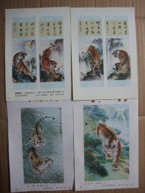 八十年代 32开年画缩样 绘画动物年画  猛虎图【2】 50张一册 多为精品年画 有张善子，张光莹等名家作品 为方便收藏，装订成册