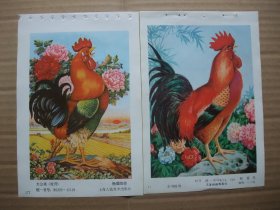 八十年代 32开年画缩样 国画花鸟年画 公鸡作品选 共12张