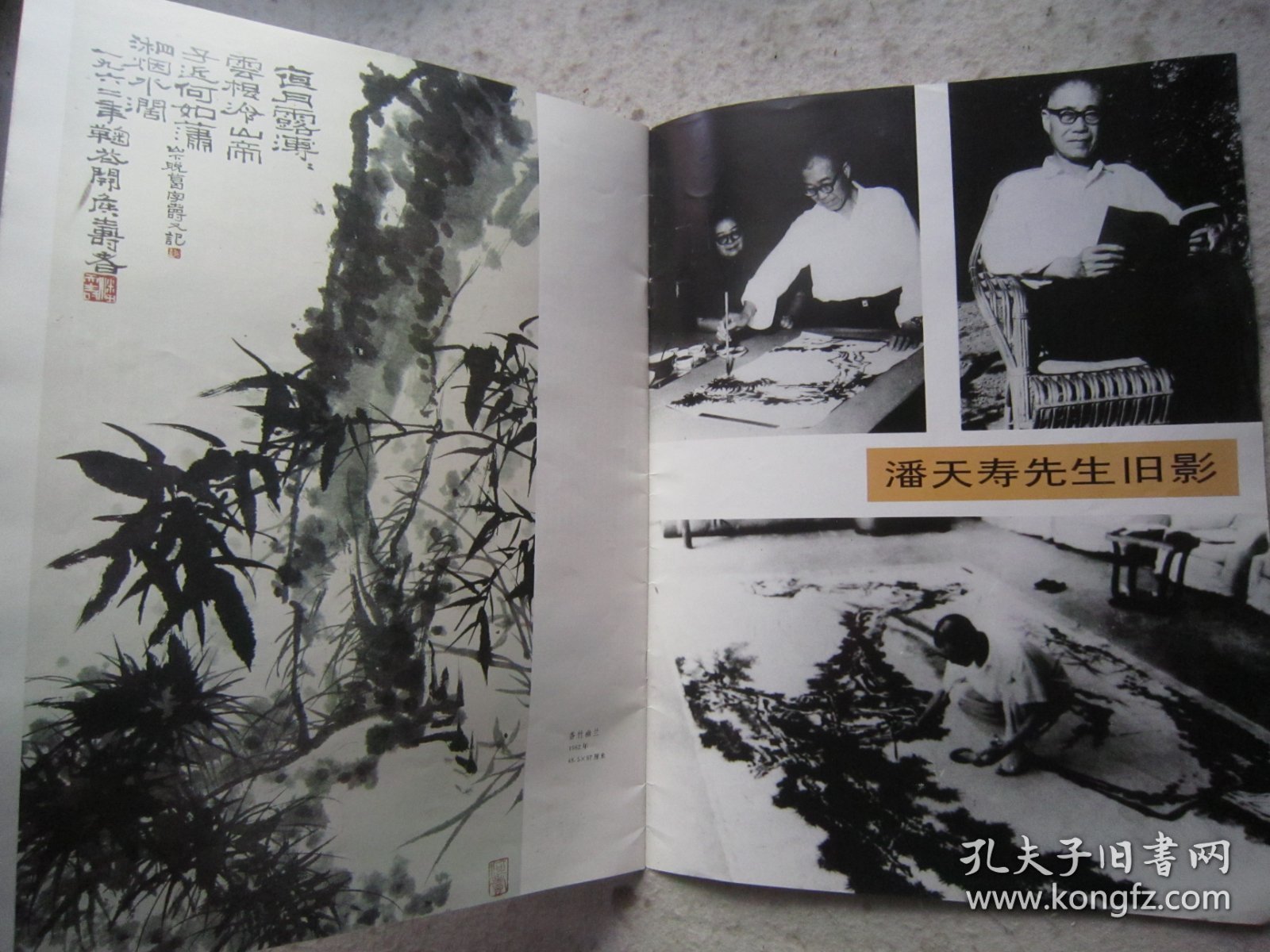 潘天寿画集《中国书画》42 、潘天寿诞辰百年专辑、含潘天寿常用印、汤文选、郭怡孮等、八开版本画集