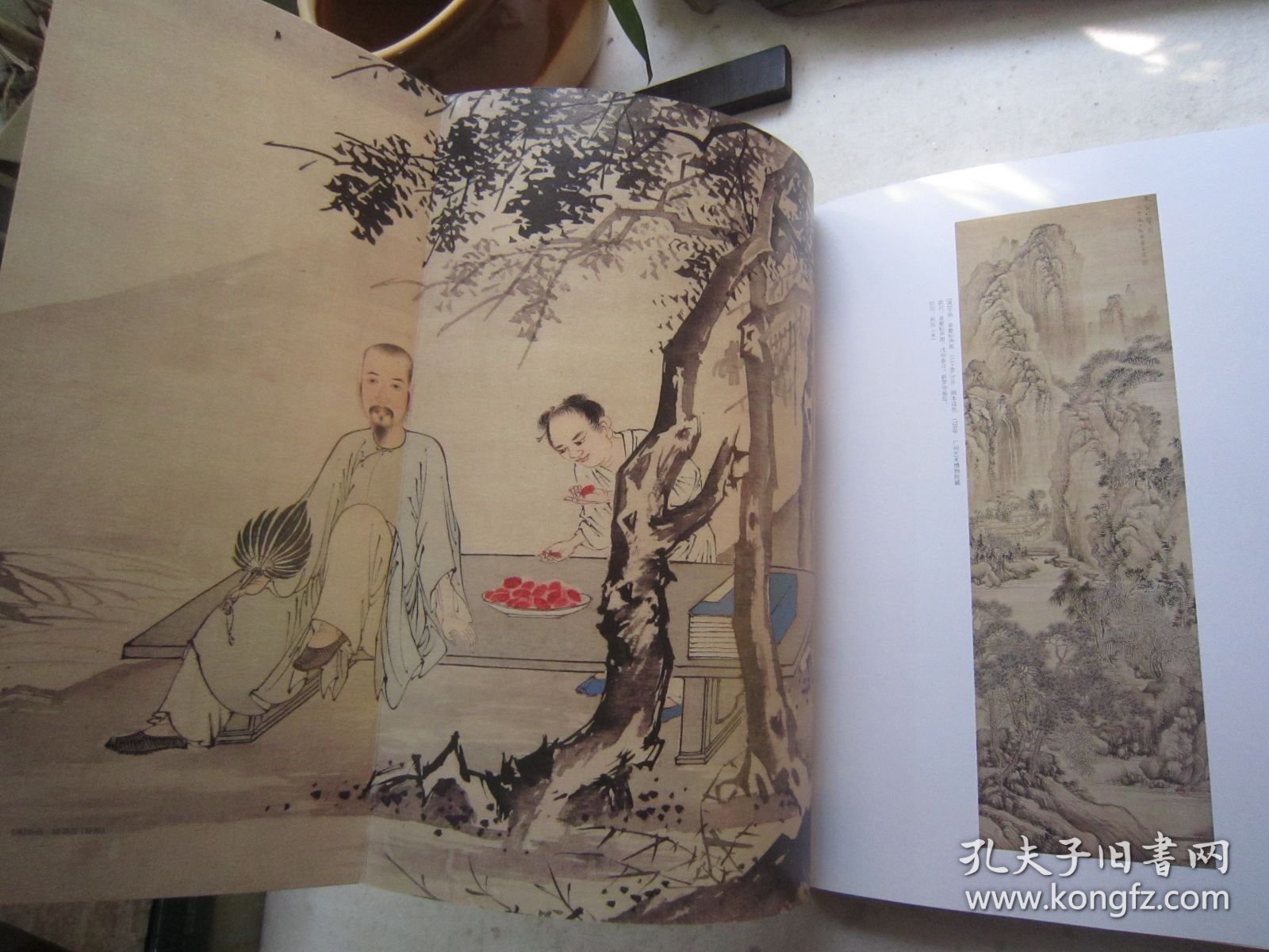 华嵒画集48页《中华书画家》华嵒绘画专题、吴悦石、李斛、熊景星等名家、八开版本画集