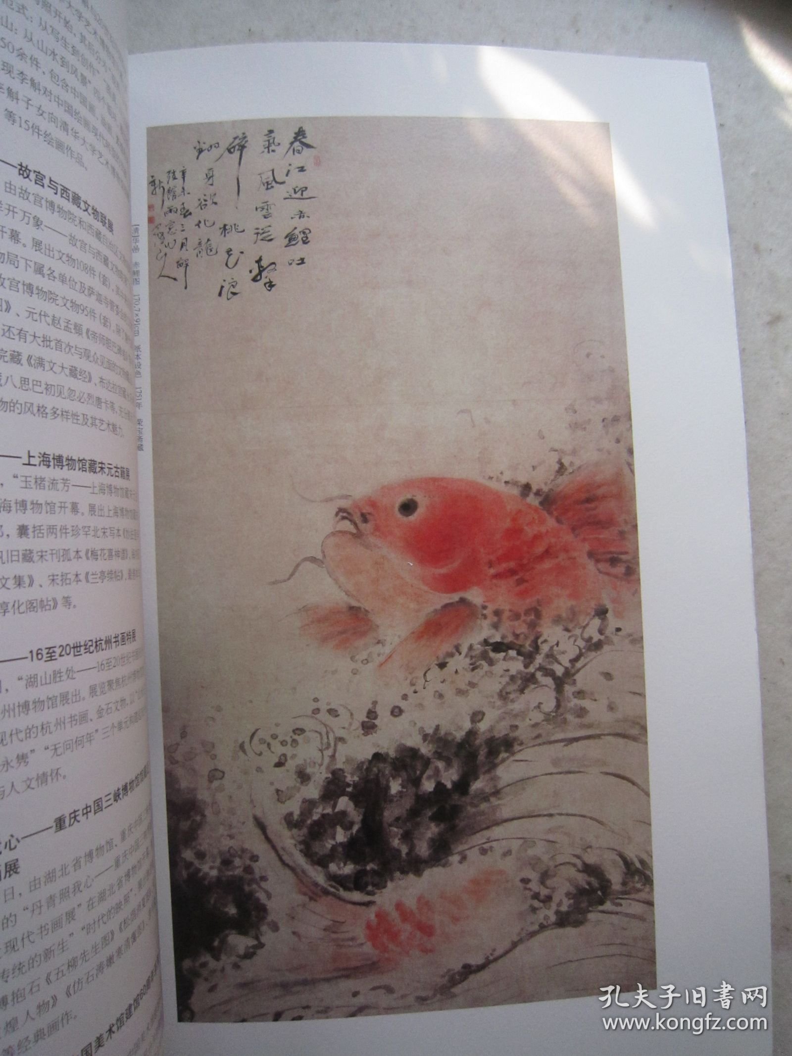 华嵒画集48页《中华书画家》华嵒绘画专题、吴悦石、李斛、熊景星等名家、八开版本画集