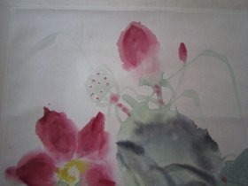 冯今松花鸟画《爱莲图》、