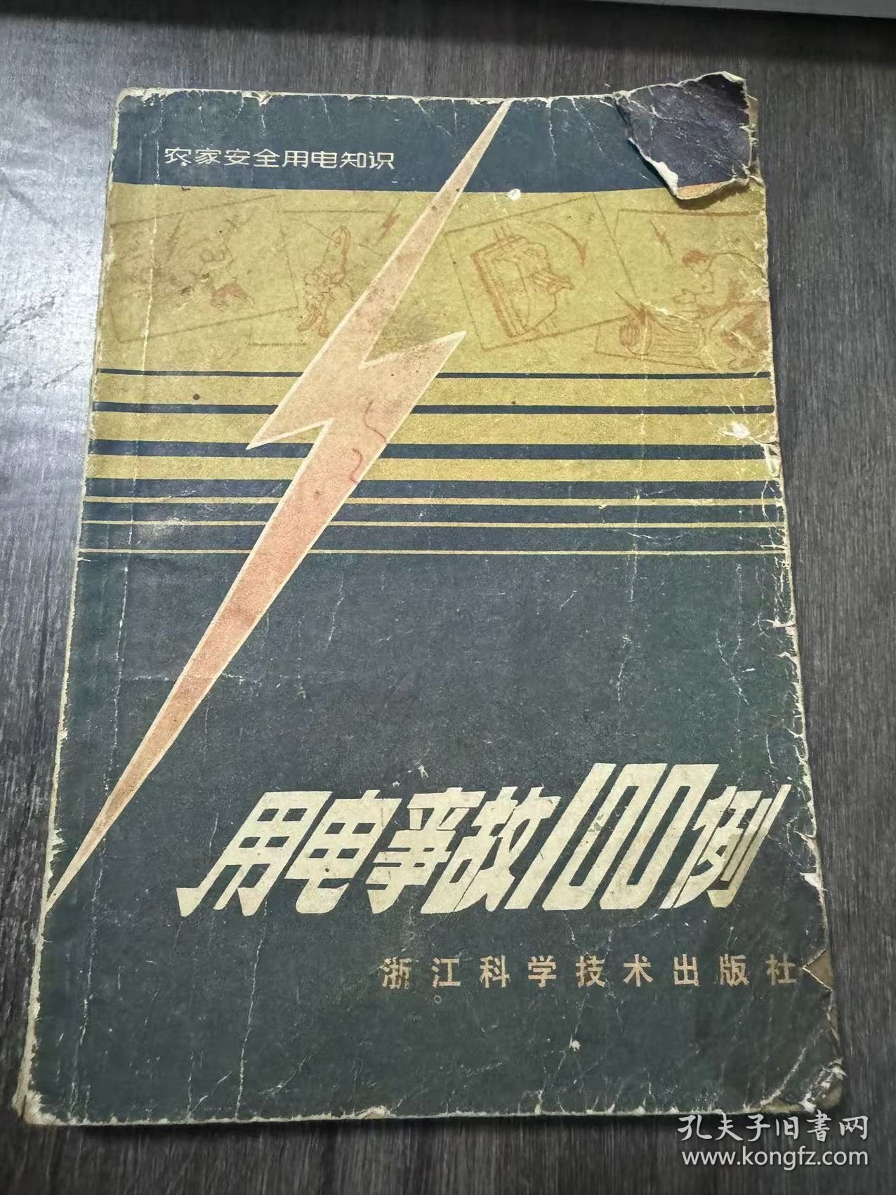 《用电事故100例——农家安全用电知识》。
