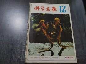 1982年12月 12月号《科学画报》/读者论坛:1982年度《科学画报》阅读奖发奖启事/新知识是科普期刊的生命/1982年《科学画报》读者奖已开始分批发出/自然与社会:为什么要淘汰127种药品:徐世淞/127 种淘汰药品的分类与名称/父子操与母女操:黄伟民编译/现代化:参加国际博览会的太阳能热水器/即将问世的立体彩色电视:韩端/现代“油漆”的八大功能:朱大中科学家的动物朋友:顾复昌……