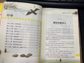 《乌鸦人阿凡思》 狼狈的遭遇/阿凡思和流浪汉/奇怪的脚印/阿凡思大闹面包店/好心的白鸽/喜重逢/泛舟河上/魔法书的启示/重新上路/烟囱和野猫 ......