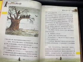 《乌鸦人阿凡思》 狼狈的遭遇/阿凡思和流浪汉/奇怪的脚印/阿凡思大闹面包店/好心的白鸽/喜重逢/泛舟河上/魔法书的启示/重新上路/烟囱和野猫 ......