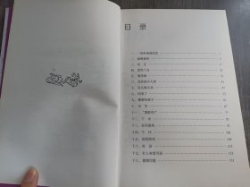 小淘气尼古拉的故事《小尼古拉的暑假》。