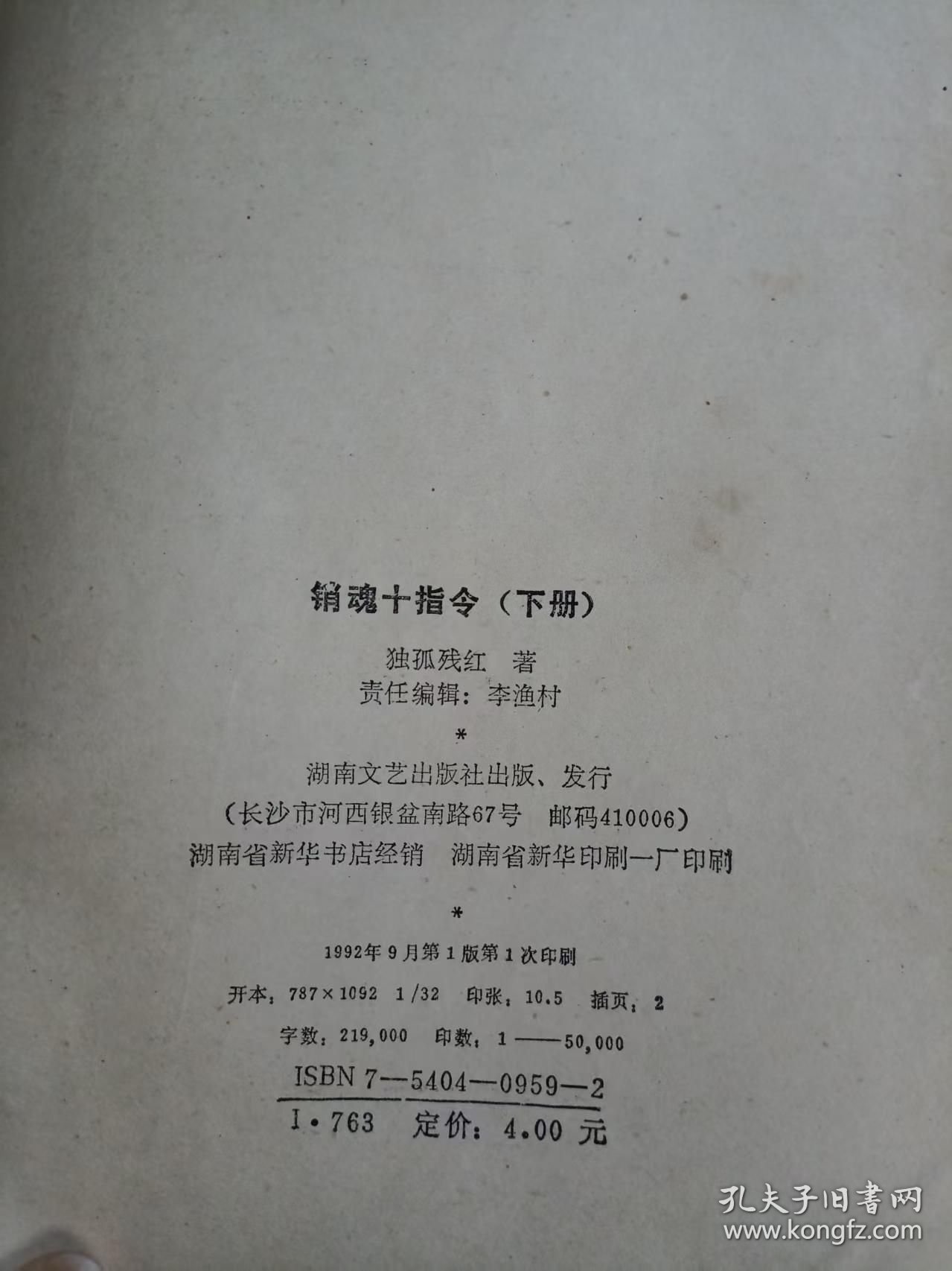 《销魂十指令（下册）》。