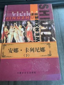 世界文学名著译林《安娜·卡列尼娜（下）》。
