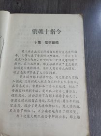 《销魂十指令（下册）》。