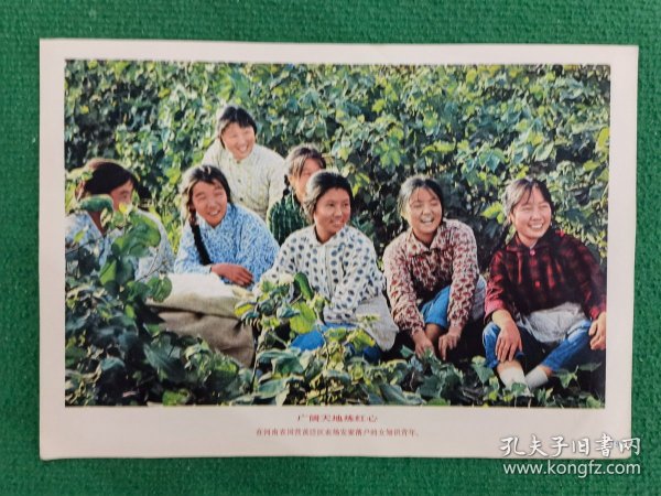 在河南省国营黄泛区农场安家落户的女知识青年