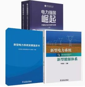 【全3册】电力强国崛起 ——中国电力技术创新与发展+新型电力系统与新型能源体系+新型电力系统发展蓝皮书