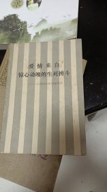 爱情来自惊心动魄的生死搏斗—最新惊险反间谍故事