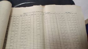 渭惠渠汘水动态观测结果整理动态资料（1959年---1965年）手写资料