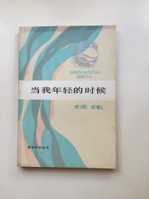 （青年时代丛书）当我年轻的时候 (续集)