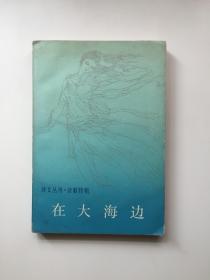 在大海边 （译文丛刊）