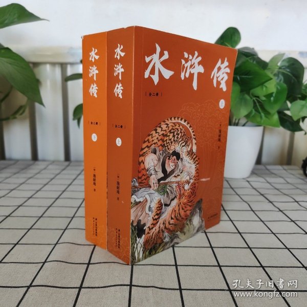 中文分级阅读九年级：水浒传全二册（14~15岁，阅读滋养心灵，难字注音注释）