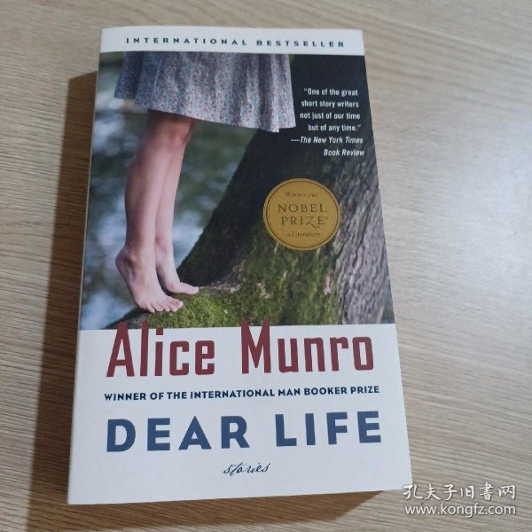 Dear Life：Stories