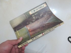李清照作品全編