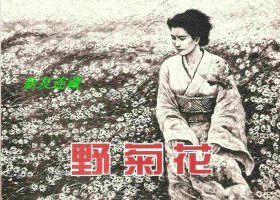 野菊花·50开普本·纪念中国人民抗日战争胜利70周年百种优秀连环画·散本·一版一印