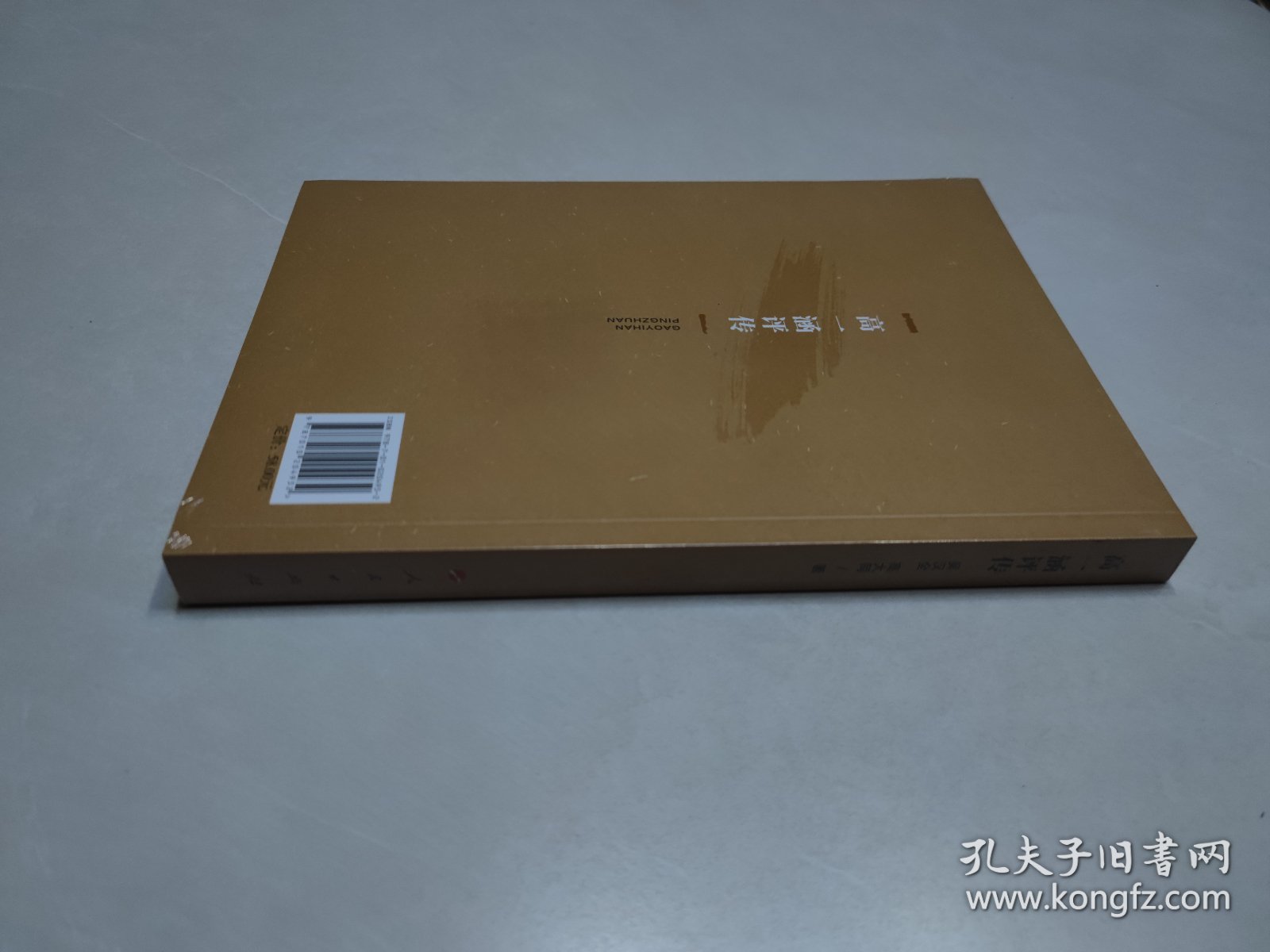 高一涵评传