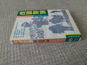 虎啸泉城 （中国革命斗争报告文学丛书——济南战役卷）