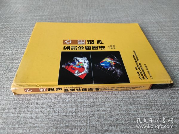 心脏超声鉴别诊断图谱