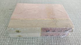列宁全集20