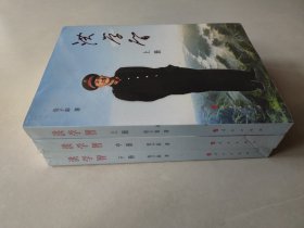洪学智(全3册) 