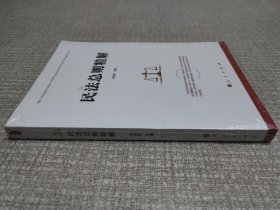 民法总则精解