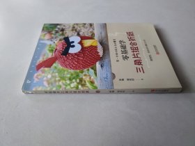 零基础学三角片组合折纸