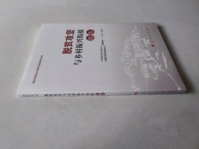 脱贫攻坚与乡村振兴衔接：组织（脱贫攻坚与乡村振兴衔接研究丛书）