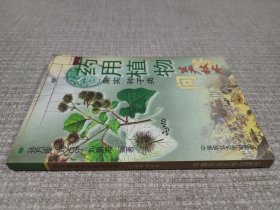 药用植物生产技术问答（二）果实 种子类