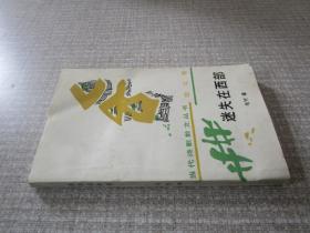 迷失在西部