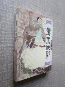 銮驾侠影