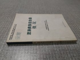 漾濞彝族自治县概况（修订本）