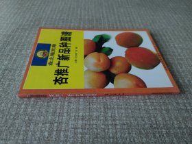 杏推广新品种图谱
