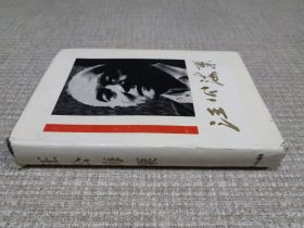 汪公海粟
