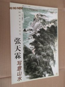 中国画名家艺术研究张天霖写意山水