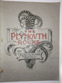百年英文原版《The Plymouth Rocks 》