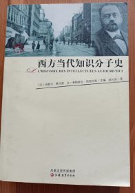 西方当代知识分子史(彼岸人文译丛) ,(法)莱马里等著,江苏教育出版社