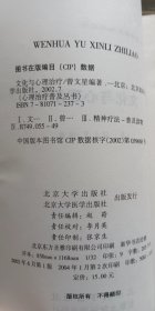 文化与心理治疗