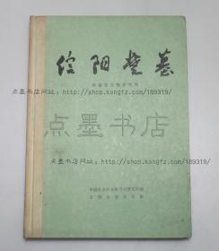 私藏好品《信阳楚墓》精装 1986年一版一印