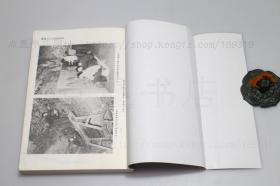 私藏好品《密县打虎亭汉墓》16开 文物出版社1993年一版一印