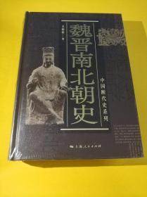 魏晋南北朝史（中国断代史系列）