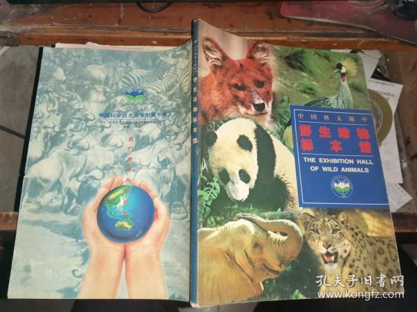 中国科大附中 野生动物标本馆