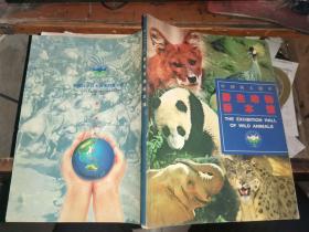 中国科大附中 野生动物标本馆